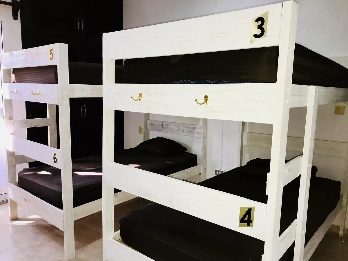 Bunk Bed In Female Dormitory Room Playa del Carmen