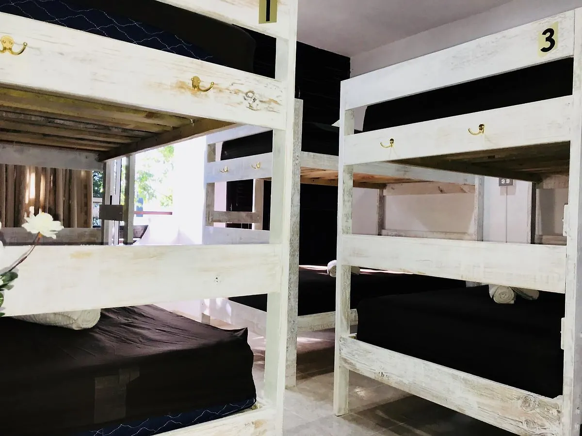 Guest house Bunk Bed In Female Dormitory Room Playa del Carmen