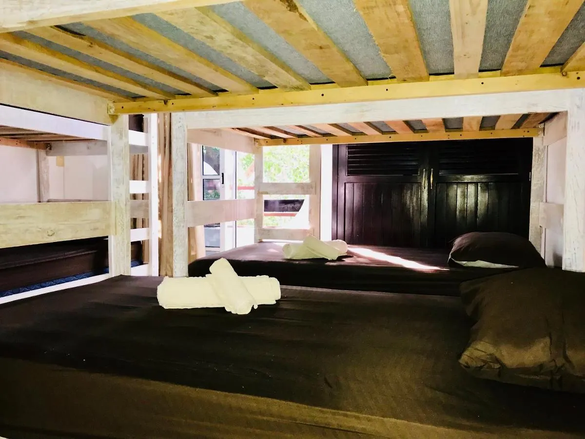Bunk Bed In Female Dormitory Room Playa del Carmen Mexico