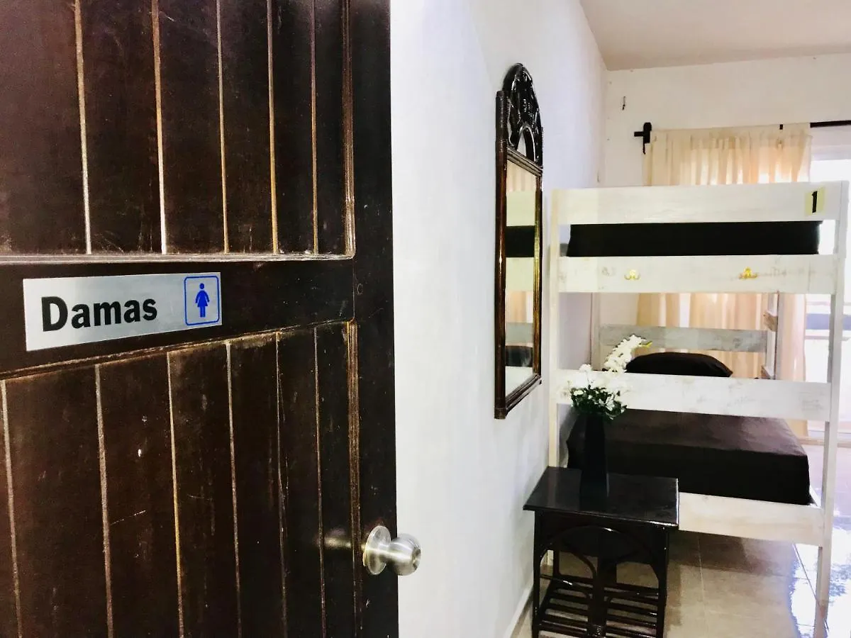 Bunk Bed In Female Dormitory Room Playa del Carmen