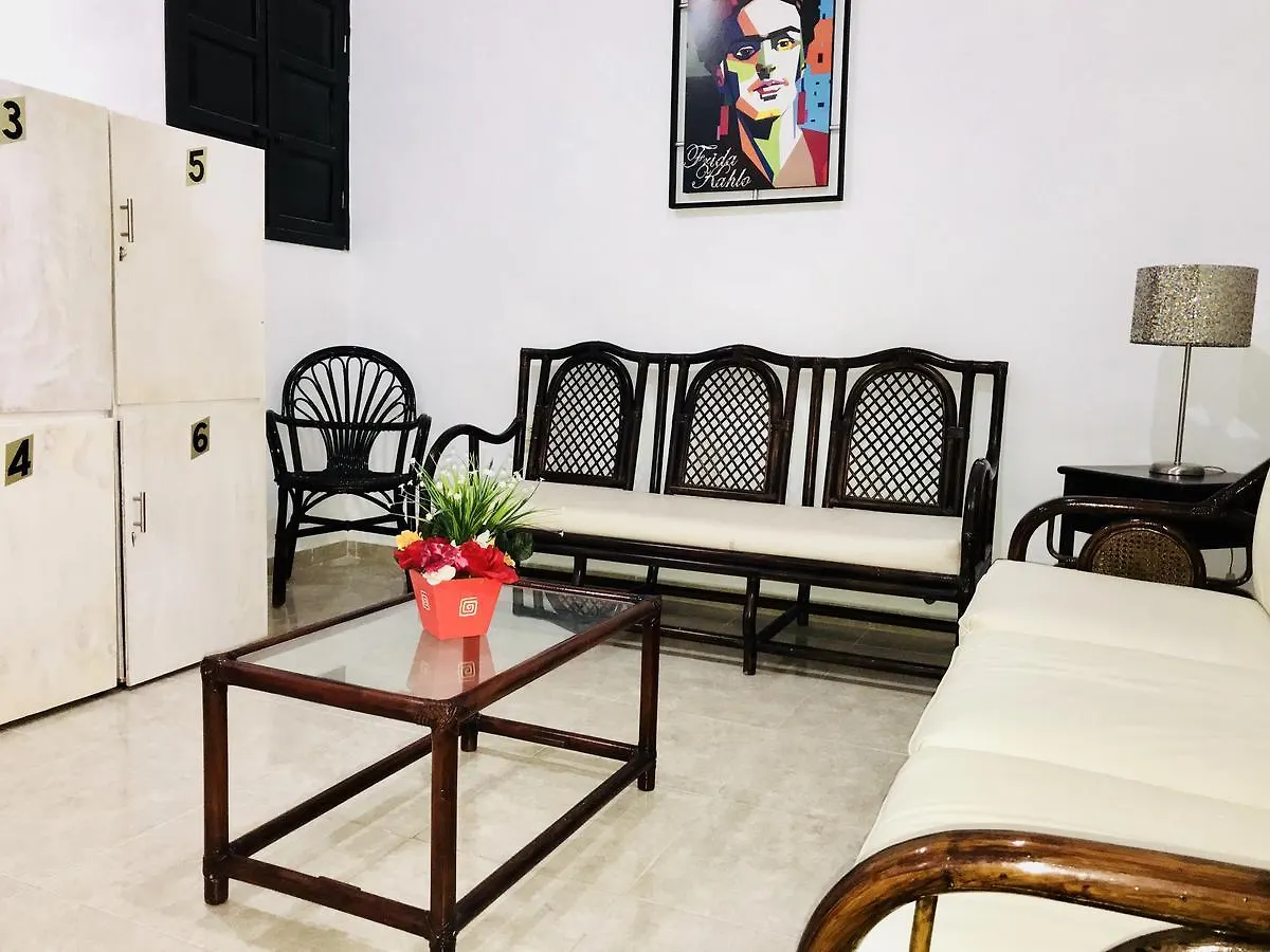 Bunk Bed In Female Dormitory Room Playa del Carmen Guest house